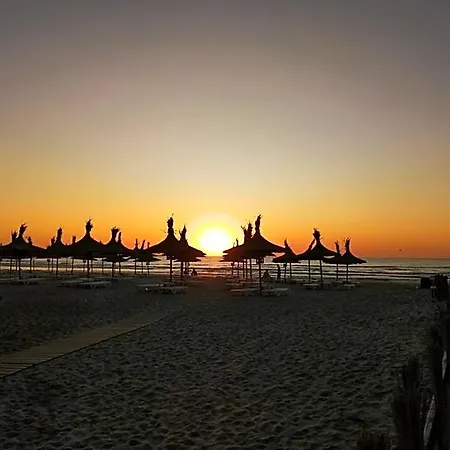 Dream (adults Only) Mamaia